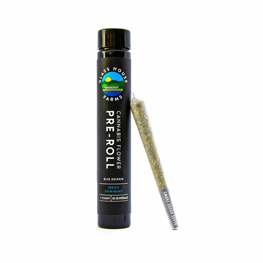 Blue-Dolphin_Pre-Roll_INDICA_1000x1000.jpg