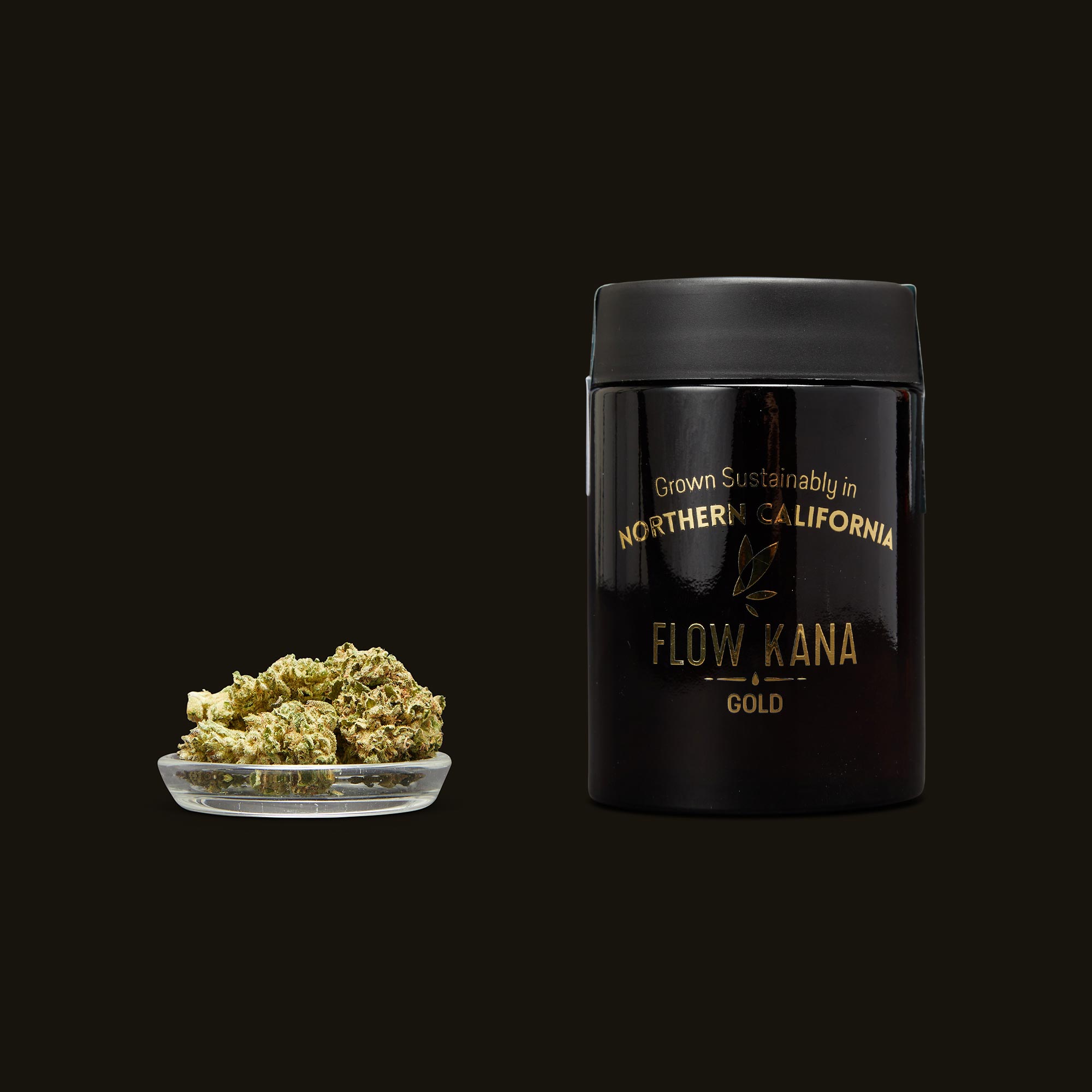 Flow-Kana-Hybrid-Gold-Quarters0720-1-1903306