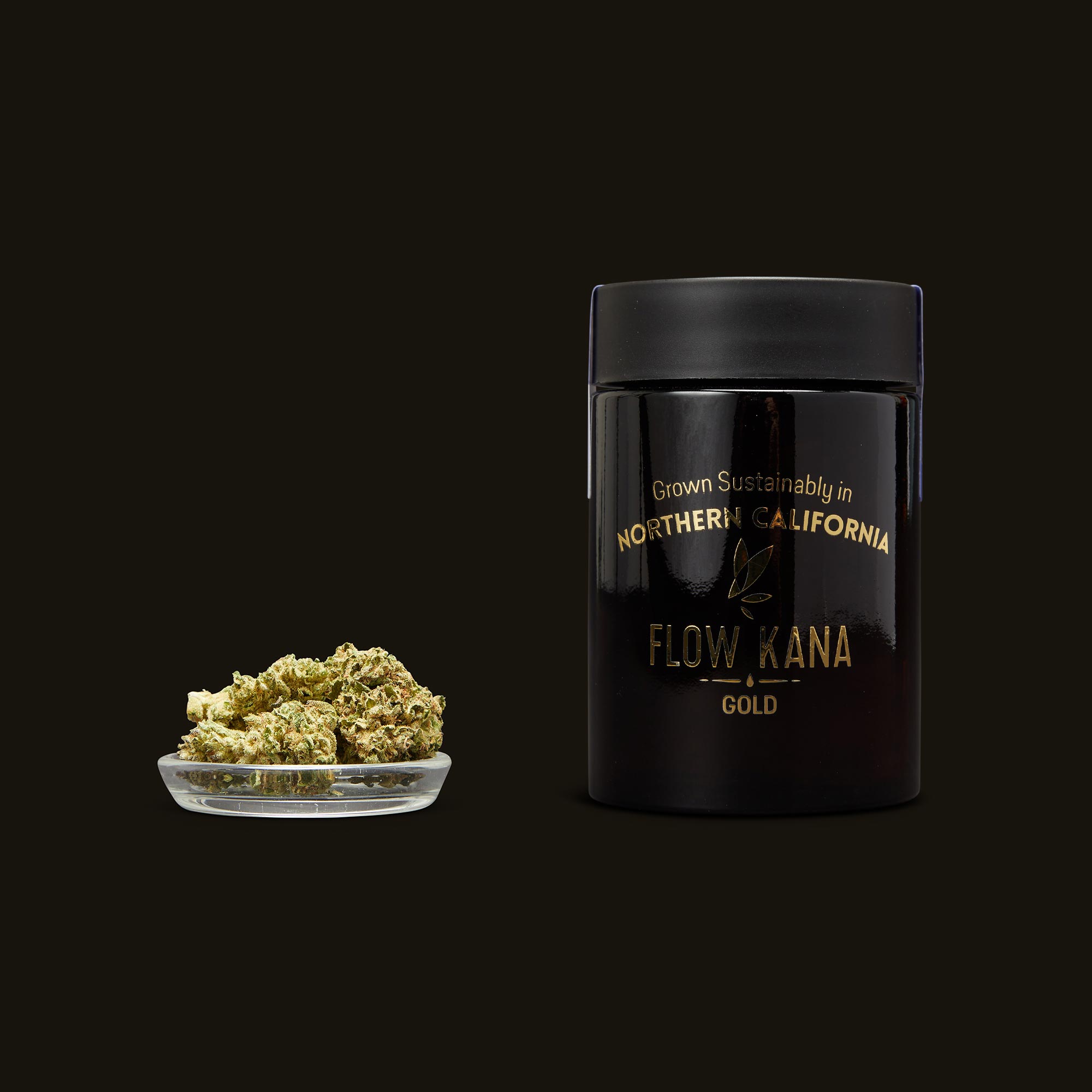 Flow-Kana-Indica-Gold-Quarters0696-1-1903319