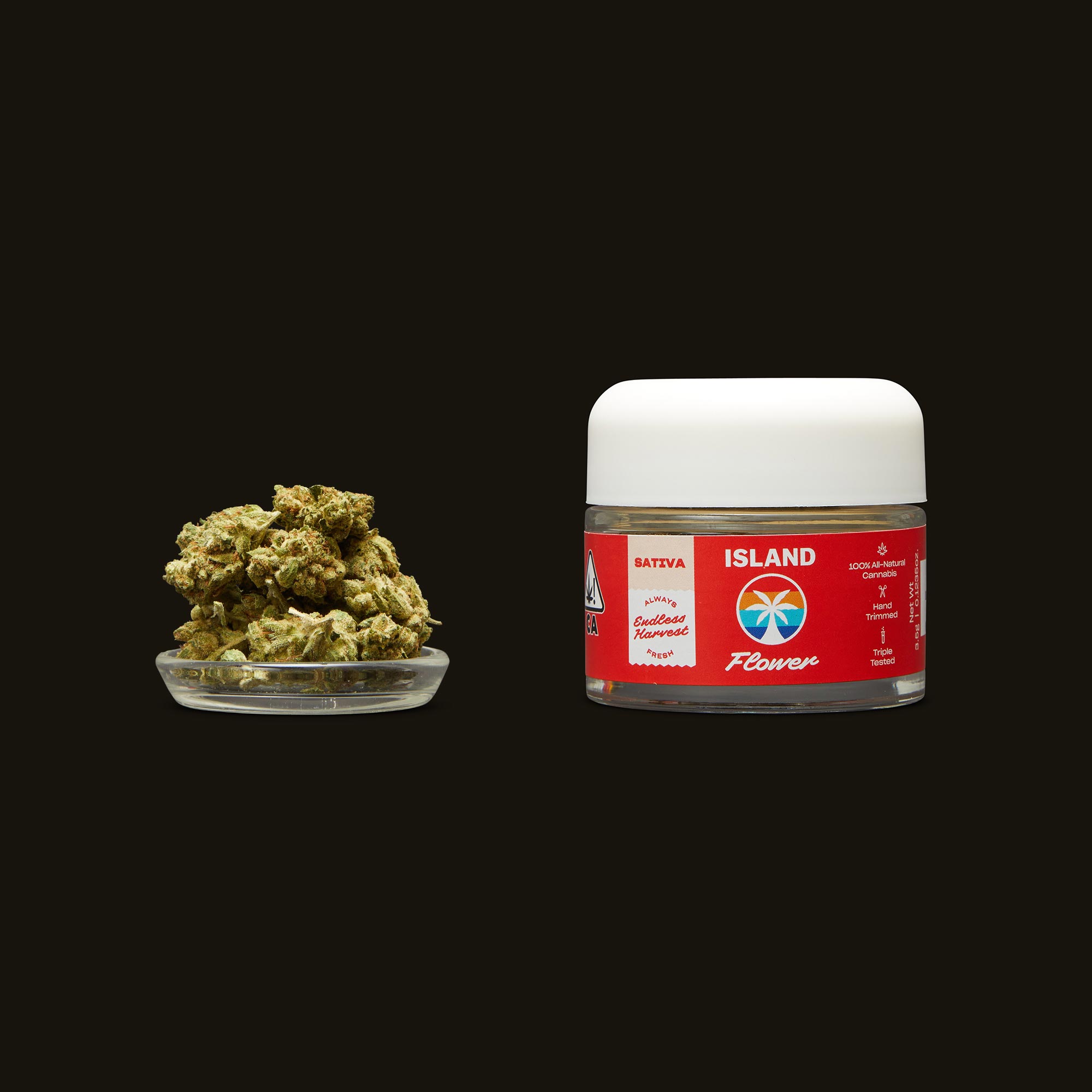 Island-Sativa-Flower0325-1340084