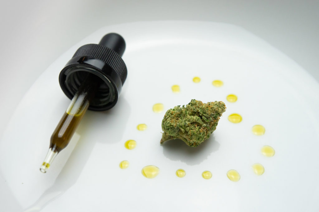 CBD Oil on a plate